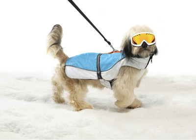       Aspen Parka Dog Gone Smart,    (,  1)