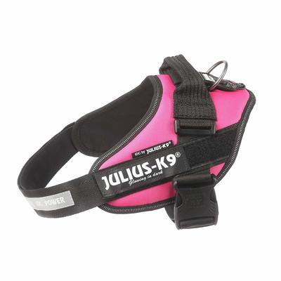 JULIUS-K9    IDC-Powerharness,  - (,  1)