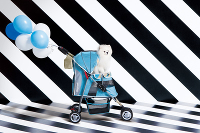 Ibiyaya    Starry Sky Pet Stroller ( New I-Cute Pet Buggy),  () (,  3)