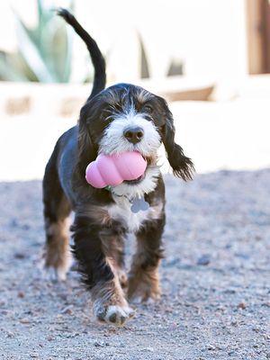 Kong Puppy       (,  6)