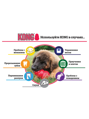 Kong Puppy       (,  7)