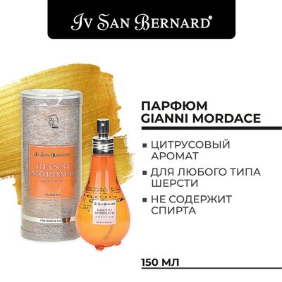 Iv San Bernard Traditional Line  Gianni Mordace 150  (,  2)