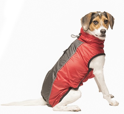 Dog Gone Smart   Hexagon jacket,    ()