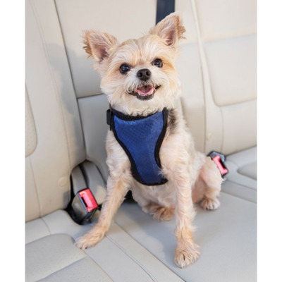 Solvit       Deluxe Car Safety Dog Harness,  S ()