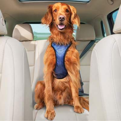 Solvit       Deluxe Car Safety Dog Harness,  L ()