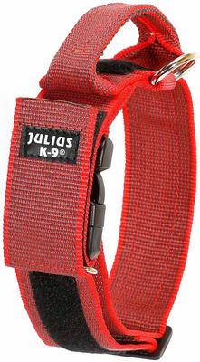 JULIUS-K9    Color & Gray,   , - ()